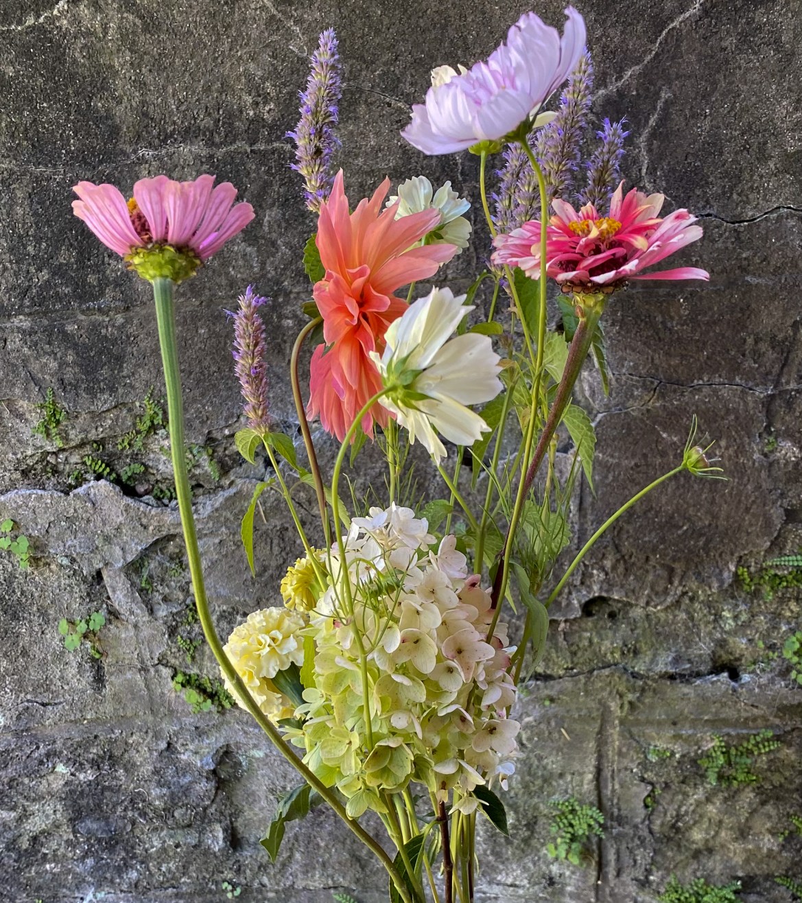Blumengalerie-Shop-Abos-S- Schweizer Blumen.jpg8